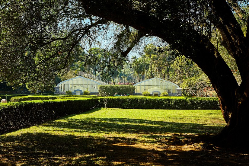 Jardim Botanico (foto Ken Chu Expressão Studio)